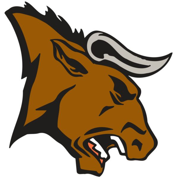 AR BULL 38 RC Thumbnail