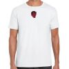Mens Softstyle Tee Shirt Thumbnail