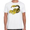 Mens Softstyle Tee Shirt Thumbnail